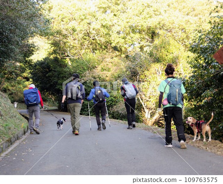 帶狗狗集體爬山 帶狗狗集體爬山 109763575