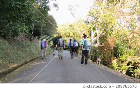 帶狗狗集體爬山 109763576