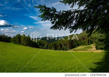 Rural Landscape With Pastures And Forests In The Region Waldviertel In Austria 109764036