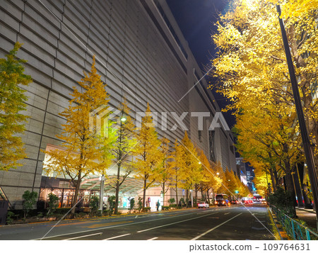 東京丸之內:銀杏樹和燈飾 東京丸之內:銀杏樹和燈飾 109764631