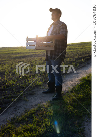 vertically. A farmer with a box of potatoes stands in a field against the backdrop of a beautiful sunset. The concept of agriculture and small business Farmer at the end of the day after the harvest. vertically. A farmer with a box of potatoes stands in a field against the backdrop of a beautiful sunset. The concept of agriculture and small business Farmer at the end of the day after the harvest. 109764836