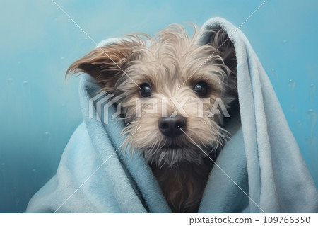 Cute dog covered with a towel 109766350