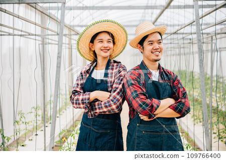 Happiness blooms in tomato hydroponic farm with Asian couple. Smiling farmers crossed arms carrying quality vegetables. Portrait of successful husband and wife in the greenhouse. Farming joy. 109766400