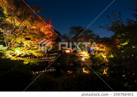東京都豐島區目白庭園紅葉彩燈 東京都豐島區目白庭園紅葉彩燈 109766401