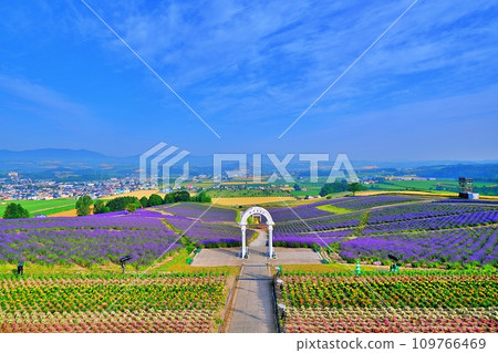北海道上富良野日之出公園薰衣草園 109766469
