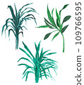 Indoor plants set of three 109766595