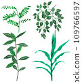 Indoor plants set of four 109766597