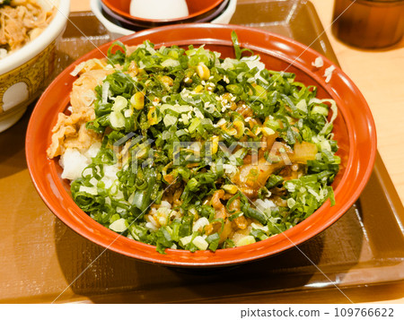 牛肉飯 109766622