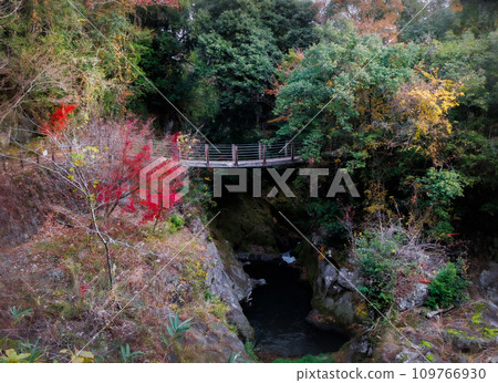 下條大銀杏樹附近的下條瀑布吊橋(阿蘇郡小國町) 下條大銀杏樹附近的下條瀑布吊橋(阿蘇郡小國町) 109766930