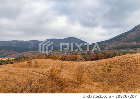 Cloudy sky and autumn-colored fields and mountains (Minamioguni Town, Aso District) 109767207