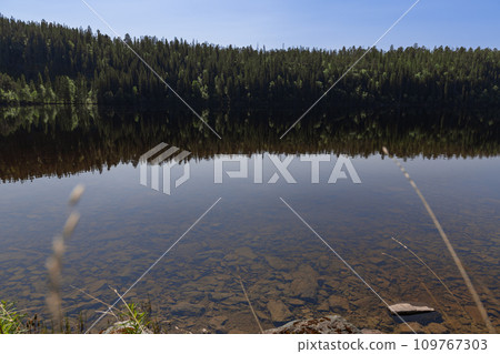 Clear waters of Snasavatnet in Steinkjer, Norway, reflecting dense forest on a serene summer day 109767303