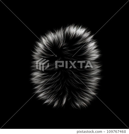 Fluffy furball, plush sphere. Fur toy, pompom. Black and white fur isolated on a black background. Fluffy animal fur, Fluffy furball, plush sphere. Fur toy, pompom. Black and white fur isolated on a black background. Fluffy animal fur, 109767468