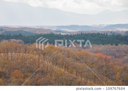 平野台高原的紅葉美景(阿蘇郡南小國町) 平野台高原的紅葉美景(阿蘇郡南小國町) 109767684