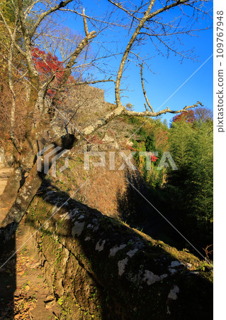 岡城遺址的坡牆(大分縣武田市) 岡城遺址的坡牆(大分縣武田市) 109767948