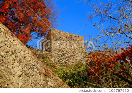 仰望岡城遺址的石牆和秋葉(大分縣竹田市) 仰望岡城遺址的石牆和秋葉(大分縣竹田市) 109767950