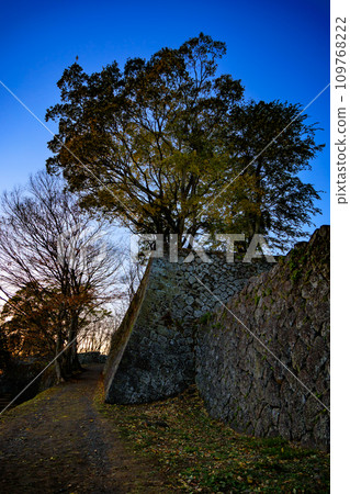 岡城遺址的秋天夜景(大分縣武田市) 岡城遺址的秋天夜景(大分縣武田市) 109768222