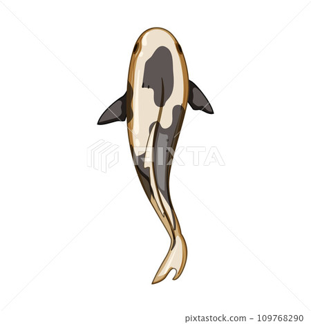 pond koi fish carp cartoon vector illustration pond koi fish carp cartoon vector illustration 109768290