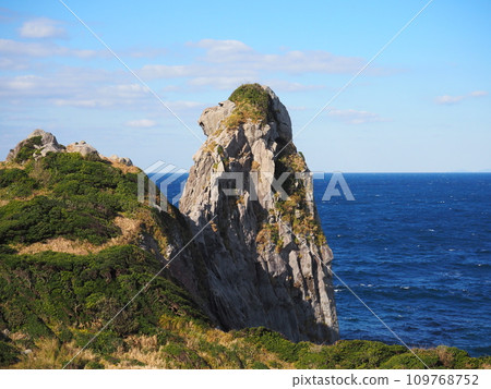 Saruwa Saruwa 109768752