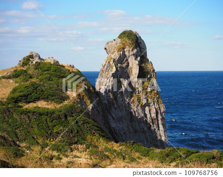 Saruwa Saruwa 109768756