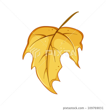 canada maple leaf cartoon vector illustration 109769031