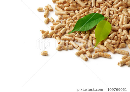 Wooden filler for cat litter box isolated on white background 109769061