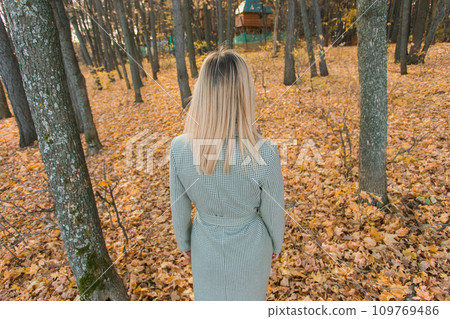 Back view blonde woman in elegant gray coat walks in the sunny autumn season park. Generation z and gen z youth concept. Back view blonde woman in elegant gray coat walks in the sunny autumn season park. Generation z and gen z youth concept. 109769486