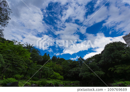 Kyu-Furukawa Gardens - Summer 2023 Scenery 39 109769689
