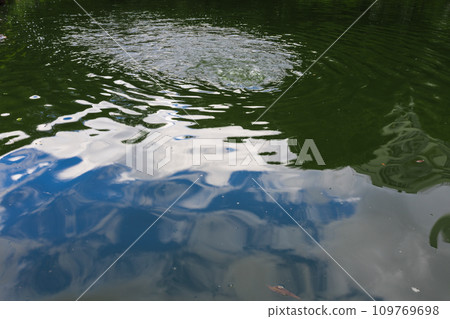 Kyu-Furukawa Gardens - Summer 2023 Scenery 32 Kyu-Furukawa Gardens - Summer 2023 Scenery 32 109769698