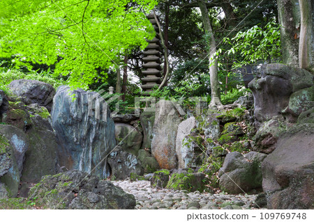 Kyu-Furukawa Gardens - Summer 2023 Scenery 4 Kyu-Furukawa Gardens - Summer 2023 Scenery 4 109769748