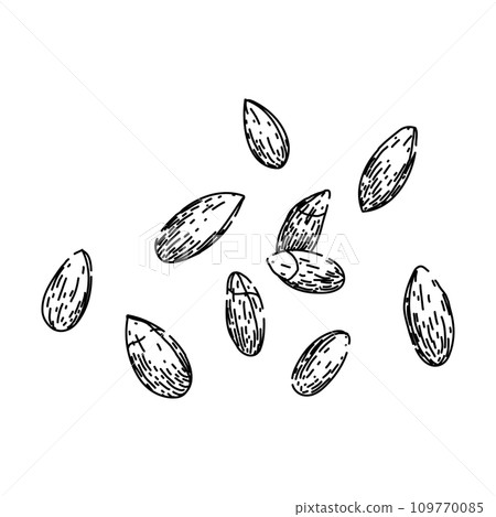 bread rye sketch hand drawn vector bread rye sketch hand drawn vector 109770085
