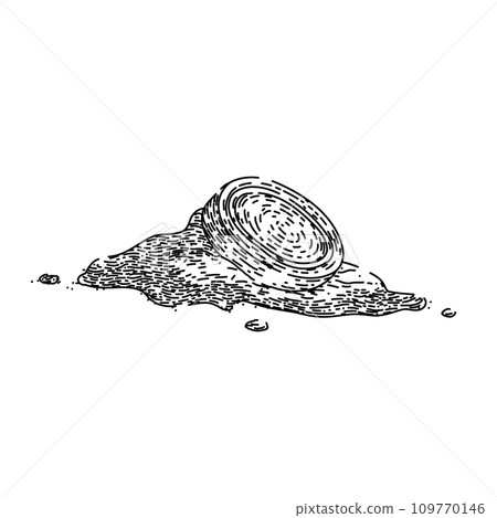 curcuma turmeric sketch hand drawn vector 109770146