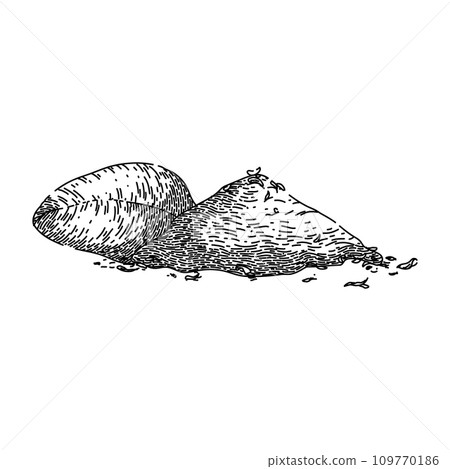 marjoram oregano sketch hand drawn vector 109770186