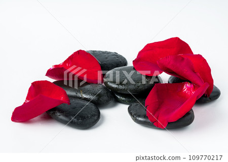 Spa stones and flowers on the white background Spa stones and flowers on the white background 109770217