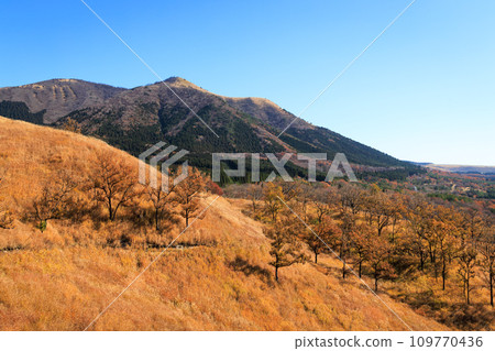 Hiranodai Plateau in autumn with beautiful colored fields and mountains (Minamioguni Town, Aso District) 109770436