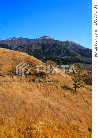 Hiranodai Plateau in autumn with beautiful colored fields and mountains (Minamioguni Town, Aso District) Hiranodai Plateau in autumn with beautiful colored fields and mountains (Minamioguni Town, Aso District) 109770438