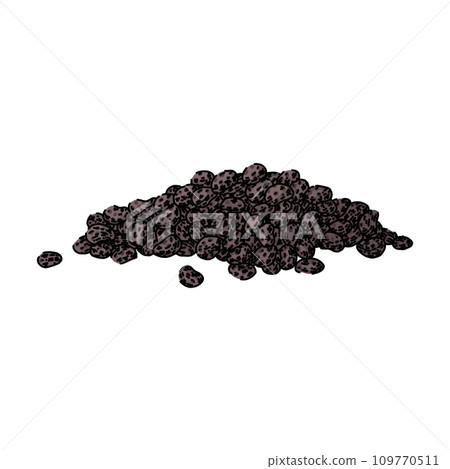 field poppy sketch hand drawn vector 109770511