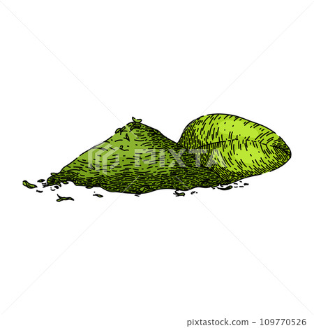 marjoram oregano sketch hand drawn vector marjoram oregano sketch hand drawn vector 109770526