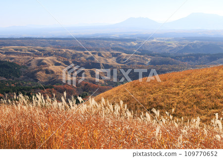 秋天的平野台高原，美麗的彩色田野和山脈（阿蘇郡南小國町） 109770652