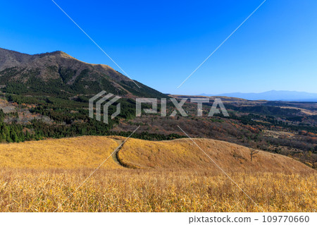 秋天的平野台高原,美麗的彩色田野和山脈(阿蘇郡南小國町) 秋天的平野台高原,美麗的彩色田野和山脈(阿蘇郡南小國町) 109770660