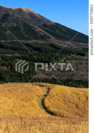 Hiranodai Plateau in autumn with beautiful colored fields and mountains (Minamioguni Town, Aso District) 109770661