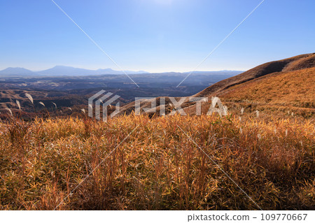 秋天的平野台高原，美麗的彩色田野和山脈（阿蘇郡南小國町） 109770667