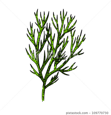 leaf dill sketch hand drawn vector leaf dill sketch hand drawn vector 109770730