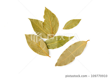 Dried bay leaves isolated on white background 109770910