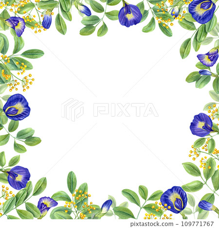 Frame with yellow and blue flowers. Butterfly pea flowers. Tropical plant, Ipomoea, clitoria ternatea, bluebellvine. Watercolor illustration isolated on white. For package, greetings, invitation 109771767