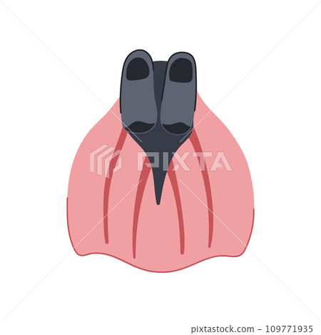 isometric flippers cartoon vector illustration isometric flippers cartoon vector illustration 109771935