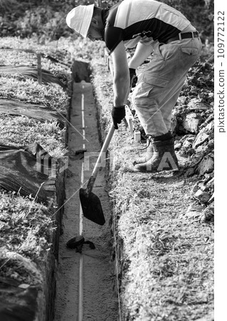 Plumber installs a reinforced orange sewer pipe during site maintenance. 109772122