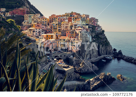 Manarola town in Cinque Terre region, Italy Manarola town in Cinque Terre region, Italy 109772176