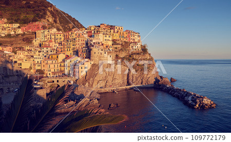 Panorama of Manarola town in Cinque Terre region, Italy 109772179