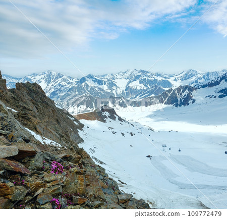 Alp flowers and ski lift 109772479