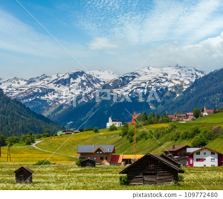 Summer Alpine country view 109772480